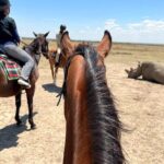 Day safari to Olpejeta Rhino conservancy - The Practical Side: Whats Included & What to Expect