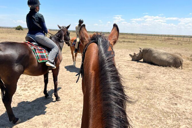 Day safari to Olpejeta Rhino conservancy - The Practical Side: Whats Included & What to Expect