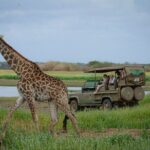 Day Safari Tour Selous Game Reserve - Detailed Itinerary Breakdown