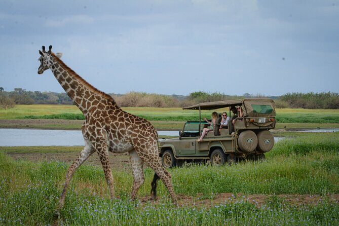 Day Safari Tour Selous Game Reserve - Detailed Itinerary Breakdown
