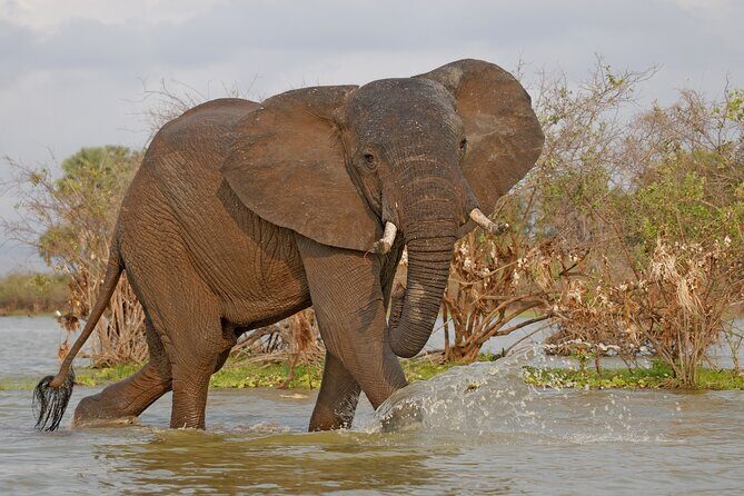 Day Safari tour to Selous Game Reserve from Zanzibar - Final Thoughts