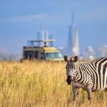 Day Tour at Nairobi National Park and Giraffe Centre - The Practicalities