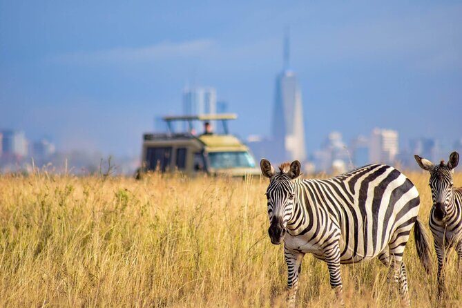 Day Tour at Nairobi National Park and Giraffe Centre - The Practicalities