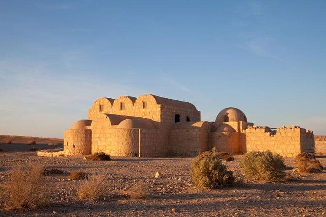 Day Tour Desert Castles & Azraq Wetland Reserve - Transportation and Guide Experience