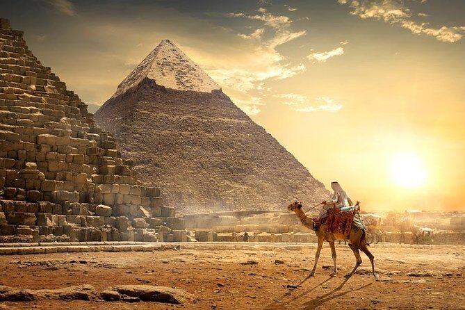 Day tour :Flight from Sharm El Sheikh to Cairo and return flight - Transportation and Logistics
