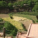 Day Tour from Marrakech to atlas mountains valleys, Camel Ride & Berber family - Final Thoughts