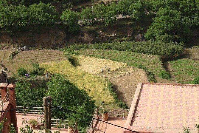 Day Tour from Marrakech to atlas mountains valleys, Camel Ride & Berber family - Final Thoughts