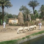 Day tour pharaonic village - Exploring the Itinerary in Detail