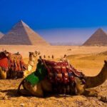 Day Tour Pyramids of Giza and Sphinx from Cairo - Frequently Asked Questions