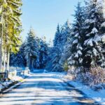 Day Tour: Ski Borovets & Relax in Thermal Pools and Sauna - Dining in the Mountains: Authentic Bulgarian Flavor