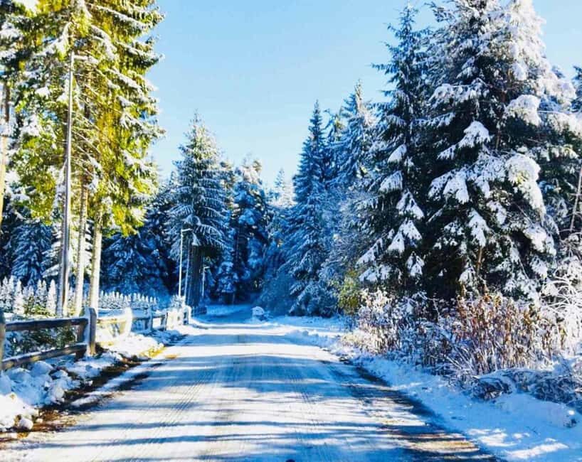 Day Tour: Ski Borovets & Relax in Thermal Pools and Sauna - Dining in the Mountains: Authentic Bulgarian Flavor