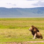 Day tour to Amboseli national park - Who Is This Tour Best For?