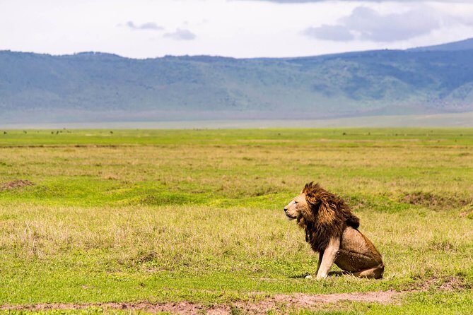 Day tour to Amboseli national park - Who Is This Tour Best For?