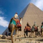 Day Tour to Cairo from Alexandria Port - Transport and Timing