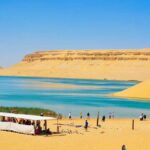 Day Tour to El Fayoum Oasis and Wadi al Rayan - The Itinerary Breakdown