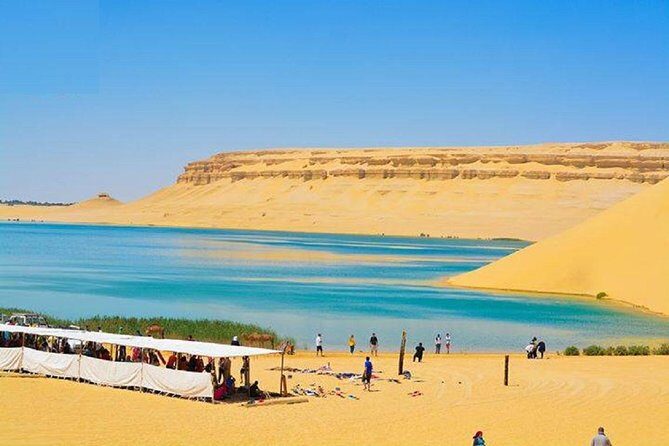 Day Tour to El Fayoum Oasis and Wadi al Rayan - The Itinerary Breakdown