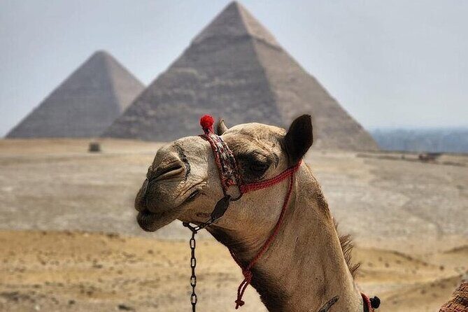 Day tour to Giza Pyramids, Memphis and Sakkara - Who Is This Tour Best For?
