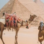 Day Tour to Giza Pyramids , sphinx ,With all the highlights - What Could Be Better?