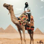 Day Tour To Giza Pyramids With Camel Ride And Egyptian Museum In Cairo - What Makes This Tour Stand Out?