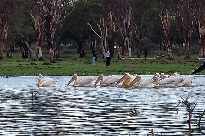 Day Tour To Hell's Gate National Park and Optional Boat Ride on Lake Naivasha. - Highlights of the Cycling Experience