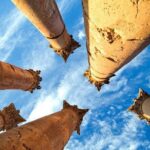 Day tour to Jerash and Ajloun Castle - Pricing and Value