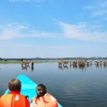 Day Tour To Lake Nakuru Park With Optional Boat Ride on Lake Naivasha - The Value of the Tour