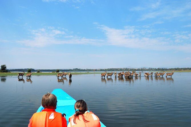 Day Tour To Lake Nakuru Park With Optional Boat Ride on Lake Naivasha - The Value of the Tour