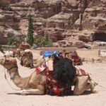 Day Tour to Petra from Dead Sea with lunch - Lunch and Rest in Petra
