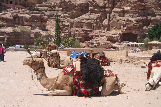 Day Tour to Petra from Dead Sea with lunch - Lunch and Rest in Petra