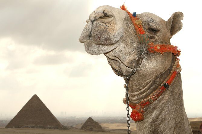 Day tour to Pyramids from Alexandria Port - An In-Depth Look at the Tour Itinerary
