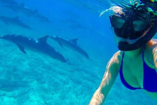 Day Tour to Snorkeling Trip to Giftun Island in Egypt - The Sum Up