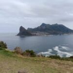 Day Tour to Table Mountain , Cape of Good Hope & Penguin - Why This Tour Works