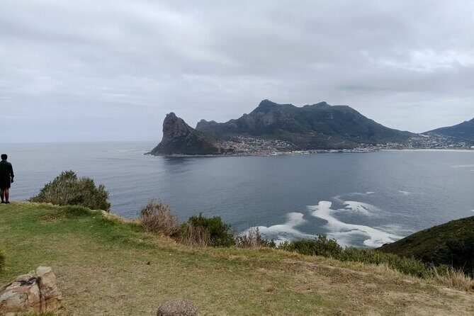 Day Tour to Table Mountain , Cape of Good Hope & Penguin - Why This Tour Works
