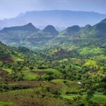 Day trek to Simien Mountain - Why This Tour Offers Great Value