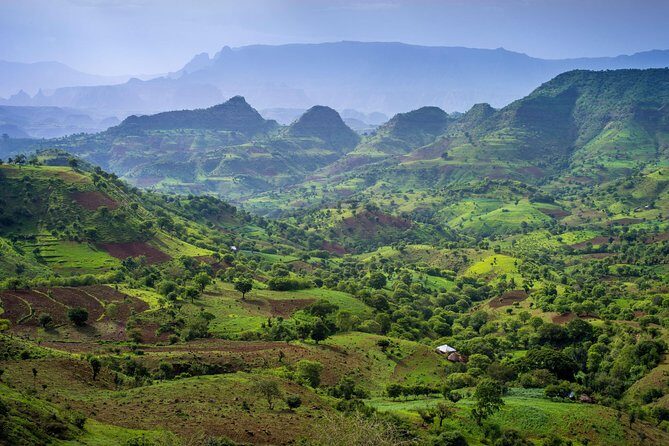 Day trek to Simien Mountain - Why This Tour Offers Great Value