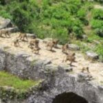 Day Trip Around Addis Ababa - What Makes This Tour Stand Out?