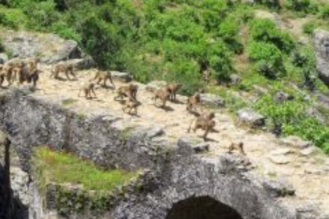 Day Trip Around Addis Ababa - What Makes This Tour Stand Out?