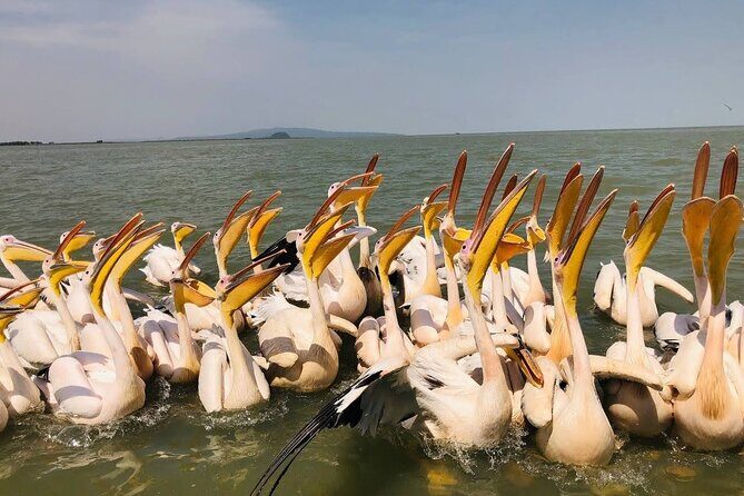 Day Trip Bahir Dar, Lake Tana and Blue Nile Falls Tours - The Itinerary: What You Can Expect