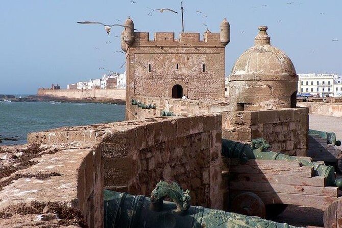 Day Trip Essaouira from Marrakech - Authentic Insights from Other Travelers
