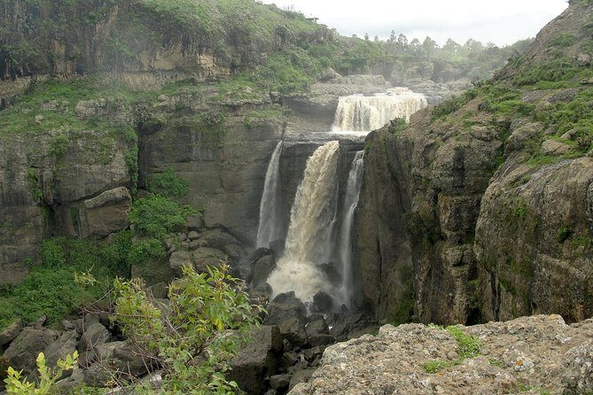 Day Trip From Addis Ababa See Historical Monastery,Stunning Nature,Animals,Birds - Final Thoughts: Is It Worth It?