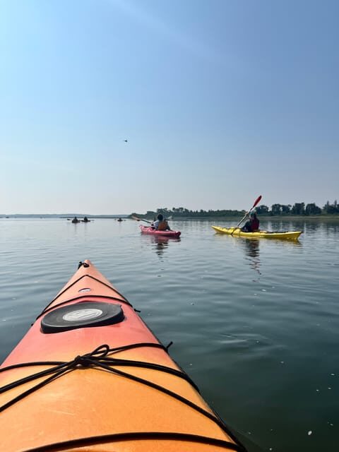 Day Trip from Boston: Guided Kayak at the Crane Estate - What to Expect at Each Stage of the Day