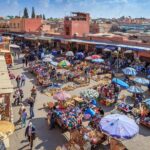 Day trip from Casablanca to Marrakech - Who Should Book This Tour?