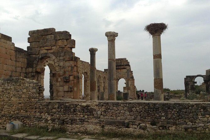 Day trip from Fes to Volubilis Moulay Idriss & Meknes - Who This Tour Is Best For