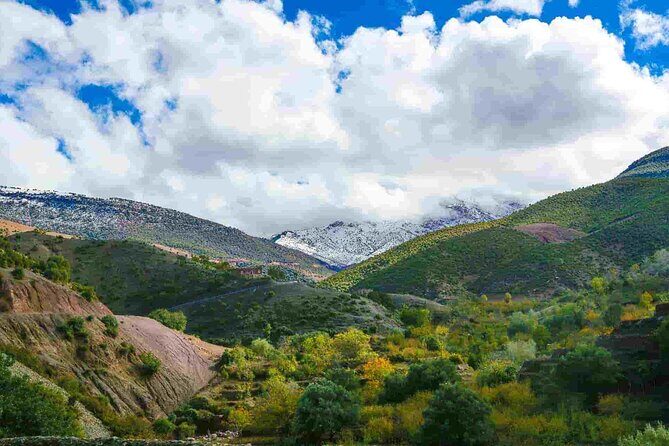 Day Trip from Marrakech Explore the Atlas Mountains and 4 Valleys - What Makes This Tour Stand Out?