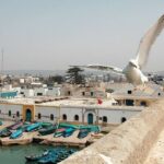 Day Trip From Marrakech To Essaouira - What Makes This Tour Stand Out