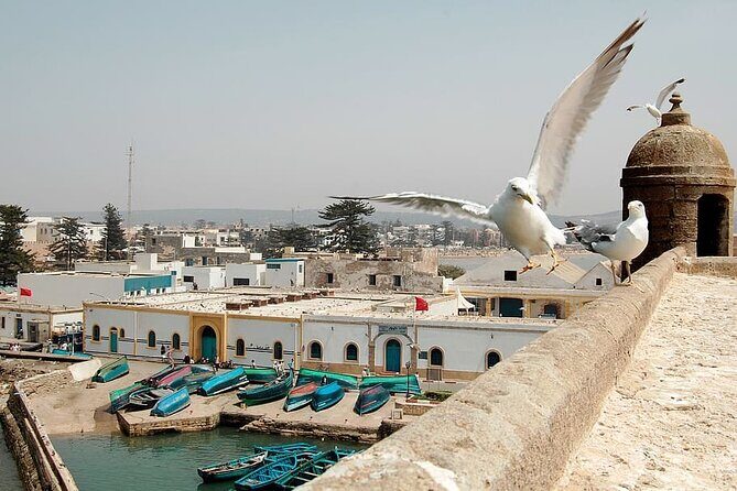 Day Trip From Marrakech To Essaouira - What Makes This Tour Stand Out