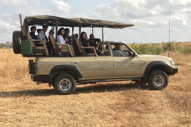 Day Trip From Zanzibar To Mikumi - Authentic Experiences as Reflected by Travelers