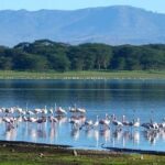 Day trip Hells gate Lake Naivasha best private safari - Who Will Love This Tour?