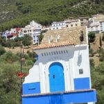 Day trip in the Blue city Chefchaouen - Pricing and Value