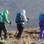 Day Trip Kilimanjaro Shira Plateau from Moshi - How Good Is the Value?